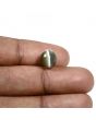 Quartz Cat's Eye (Lehsunia) Carat 4.33 