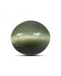 Quartz Cat`s Eye Carat 8.77 