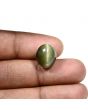 Quartz Cat`s Eye Carat 9.19 
