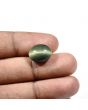 Quartz Cat`s Eye Carat 8.64 