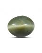 Quartz Cat`s Eye Carat 9.31 