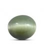 Quartz Cat's Eye (Lehsunia) Carat 10.38 