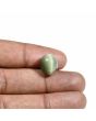 Quartz Cat's Eye (Lehsunia) Carat 10.38 