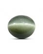 Quartz Cat's Eye (Lehsunia) Carat 8.95 