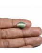 Quartz Cat's Eye (Lehsunia) Carat 8.95 