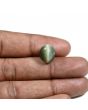 Quartz Cat's Eye (Lehsunia) Carat 8.95 