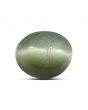 Quartz Cat's Eye (Lehsunia) Carat 8.95 