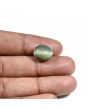 Quartz Cat's Eye (Lehsunia) Carat 8.95 