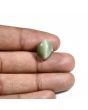 Quartz Cat's Eye (Lehsunia) Carat 8.95 