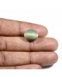 Quartz Cat's Eye (Lehsunia) Carat 10.57 
