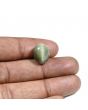 Quartz Cat's Eye (Lehsunia) Carat 10.57 