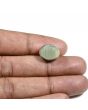 Quartz Cat's Eye (Lehsunia) Carat 10.57 