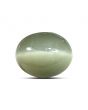 Quartz Cat's Eye (Lehsunia) Carat 9.6 