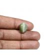 Quartz Cat's Eye (Lehsunia) Carat 9.6 