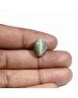 Quartz Cat's Eye (Lehsunia) Carat 9.01 