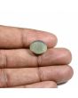 Quartz Cat's Eye (Lehsunia) Carat 9.01 