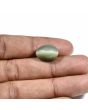 Quartz Cat's Eye (Lehsunia) Carat 10.08 