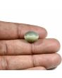 Quartz Cat's Eye (Lehsunia) Carat 9.01 