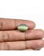Quartz Cat's Eye (Lehsunia) Carat 9.24 
