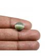 Quartz Cat's Eye (Lehsunia) Carat 7.67 