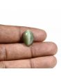Quartz Cat's Eye (Lehsunia) Carat 8.16 