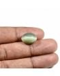 Quartz Cat's Eye (Lehsunia) Carat 9.56 