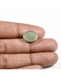 Quartz Cat's Eye (Lehsunia) Carat 9.56 