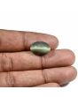 Quartz Cat's Eye (Lehsunia) Carat 8.8 