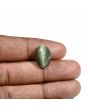 Quartz Cat's Eye (Lehsunia) Carat 8.8 