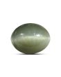 Quartz Cat's Eye (Lehsunia) Carat 9.2 