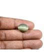 Quartz Cat's Eye (Lehsunia) Carat 9.2 