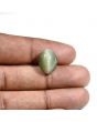Quartz Cat's Eye (Lehsunia) Carat 9.2 