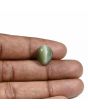 Quartz Cat's Eye (Lehsunia) Carat 8.79 