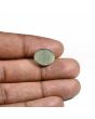 Quartz Cat's Eye (Lehsunia) Carat 8.79 
