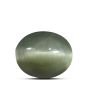 Quartz Cat's Eye (Lehsunia) Carat 8.98 