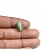 Quartz Cat's Eye (Lehsunia) Carat 8.98 