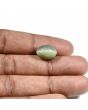 Quartz Cat's Eye (Lehsunia) Carat 8.91 