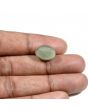 Quartz Cat's Eye (Lehsunia) Carat 8.91 