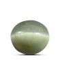 Quartz Cat's Eye (Lehsunia) Carat 9.21 