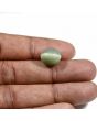 Quartz Cat's Eye (Lehsunia) Carat 9.21 