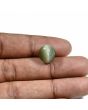 Quartz Cat's Eye (Lehsunia) Carat 9.21 