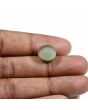 Quartz Cat's Eye (Lehsunia) Carat 9.21 