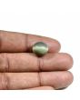 Quartz Cat's Eye (Lehsunia) Carat 9.07 