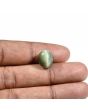 Quartz Cat's Eye (Lehsunia) Carat 9.07 