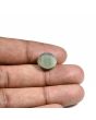 Quartz Cat's Eye (Lehsunia) Carat 9.07 