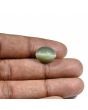Quartz Cat's Eye (Lehsunia) Carat 9.06 