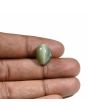 Quartz Cat's Eye (Lehsunia) Carat 9.06 