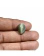 Quartz Cat's Eye (Lehsunia) Carat 9.22 