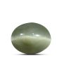 Quartz Cat's Eye (Lehsunia) Carat 9.65 