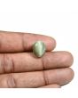 Quartz Cat's Eye (Lehsunia) Carat 8.7 